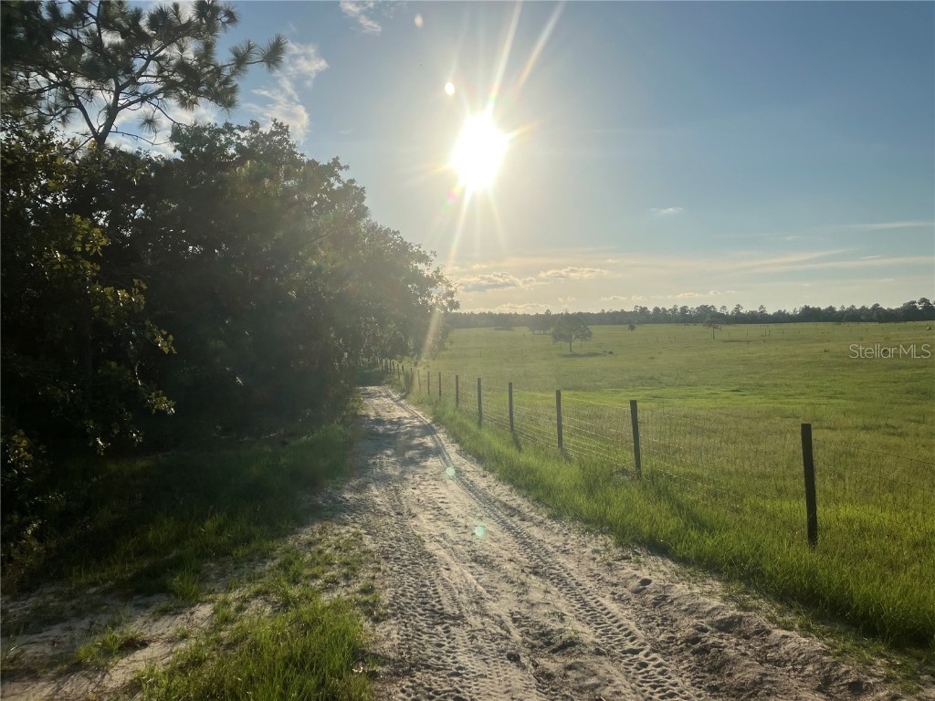 12291 SE 103rd Lane Dunnellon FL 34431 O6133683 image1