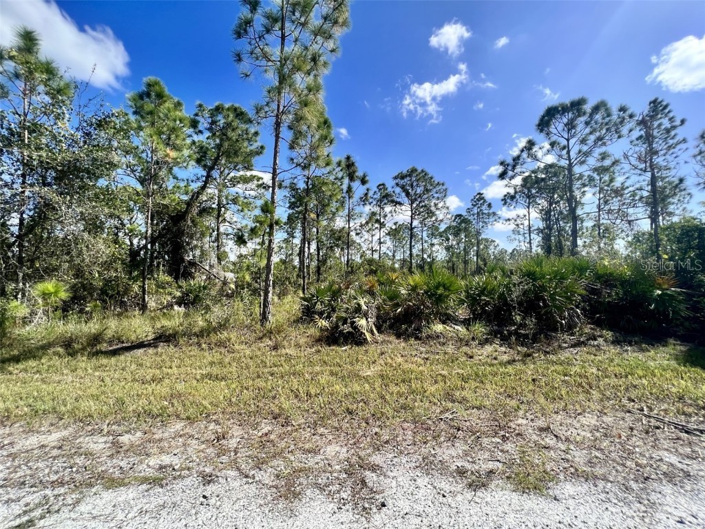 12292 Escuela Drive Punta Gorda FL 33955 C7483156 image1