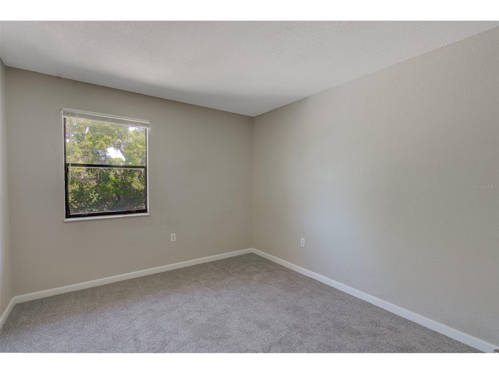 12293 Sailwinds Drive #203 Largo FL 33773 TB8489644 image30