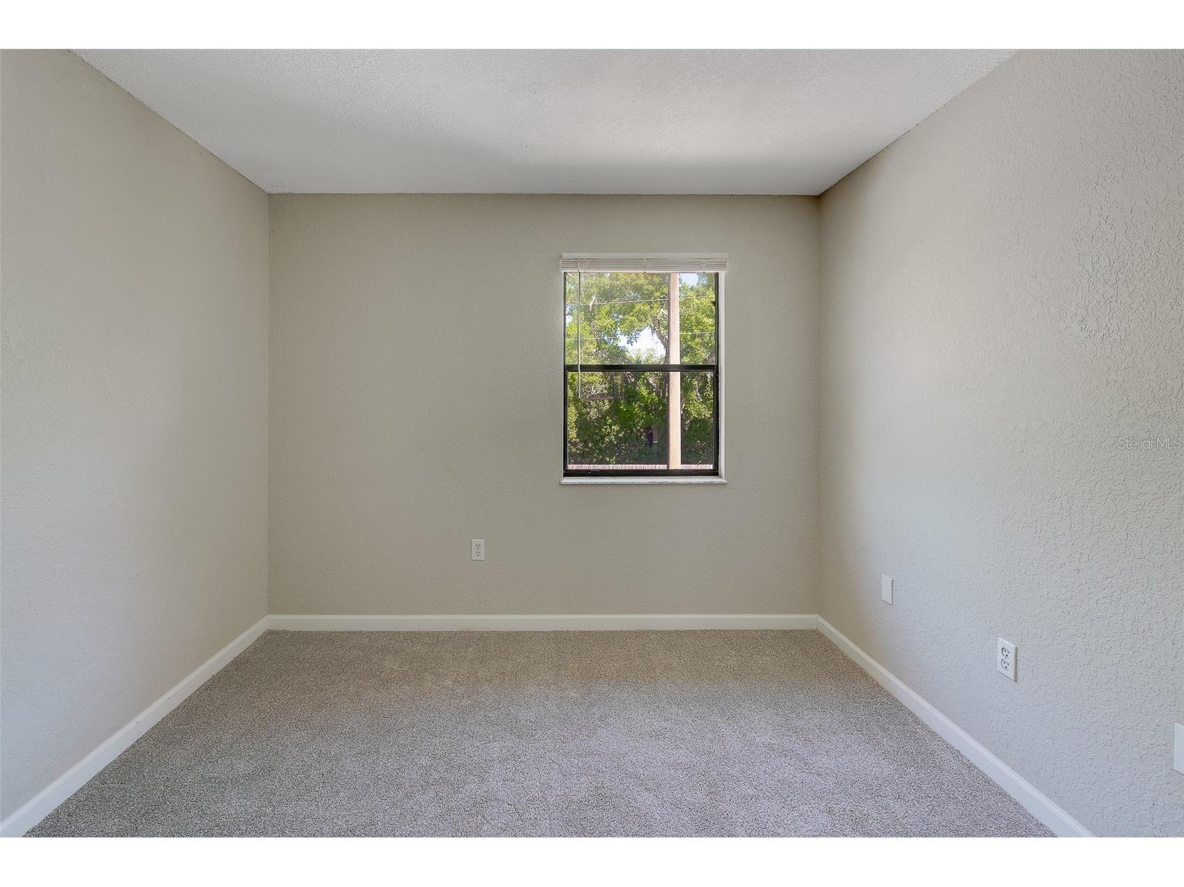12293 Sailwinds Drive #203 Largo FL 33773 TB8489644 image36