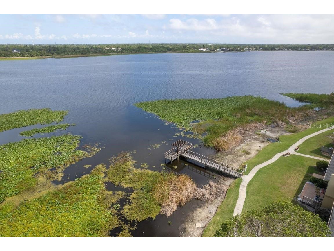 12293 Sailwinds Drive #206 Largo FL 33773 TB8449971 image31