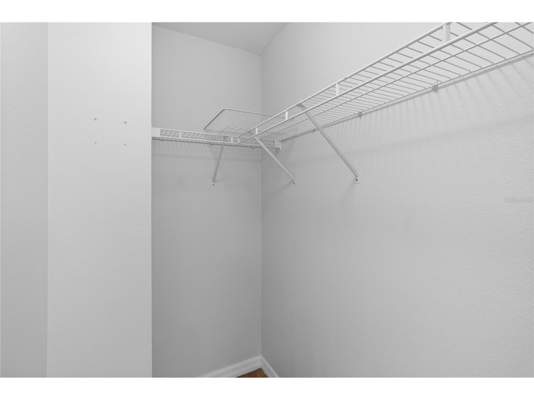 12294 Country White Circle Tampa FL 33635 TB8510464 image15