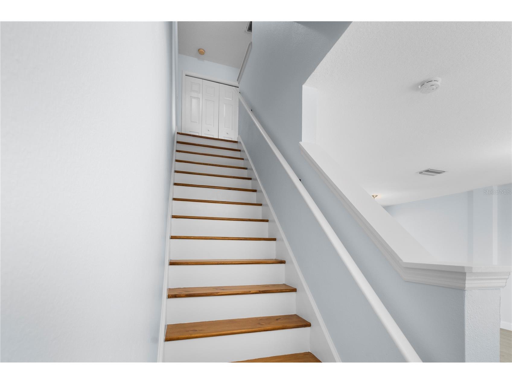 12294 Country White Circle Tampa FL 33635 TB8510464 image9