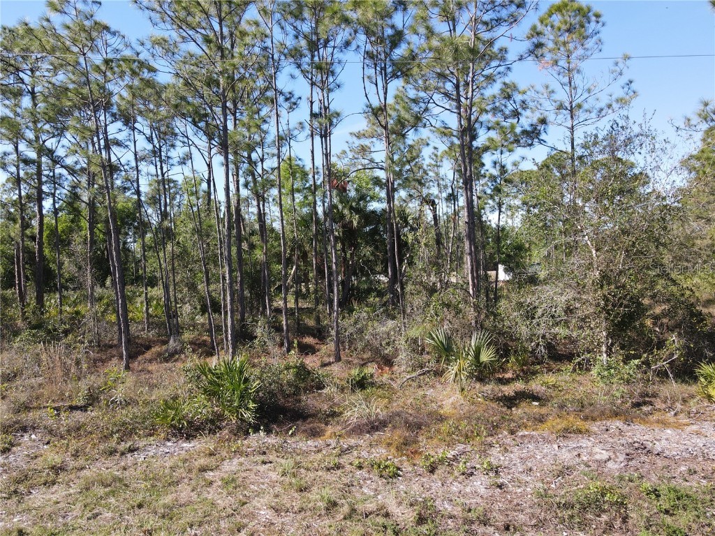 12295 Graffiti Drive Punta Gorda FL 33955 C7502662 image1