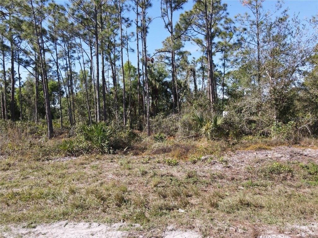 12295 Graffiti Drive Punta Gorda FL 33955 C7514267 image7