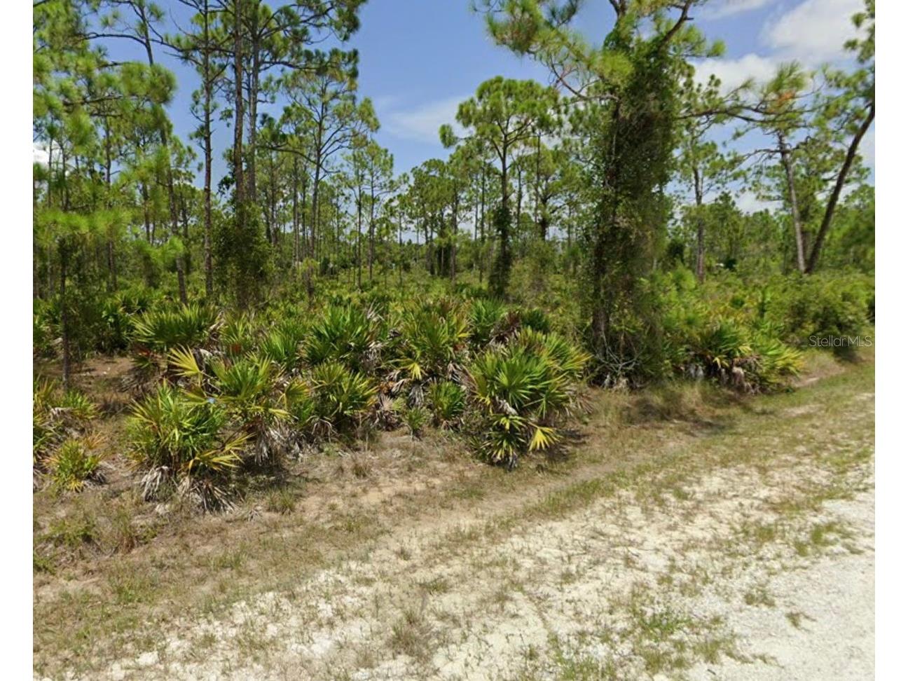 12297 and 12303 Hindle Avenue Punta Gorda FL 33955 TB8502873 image5