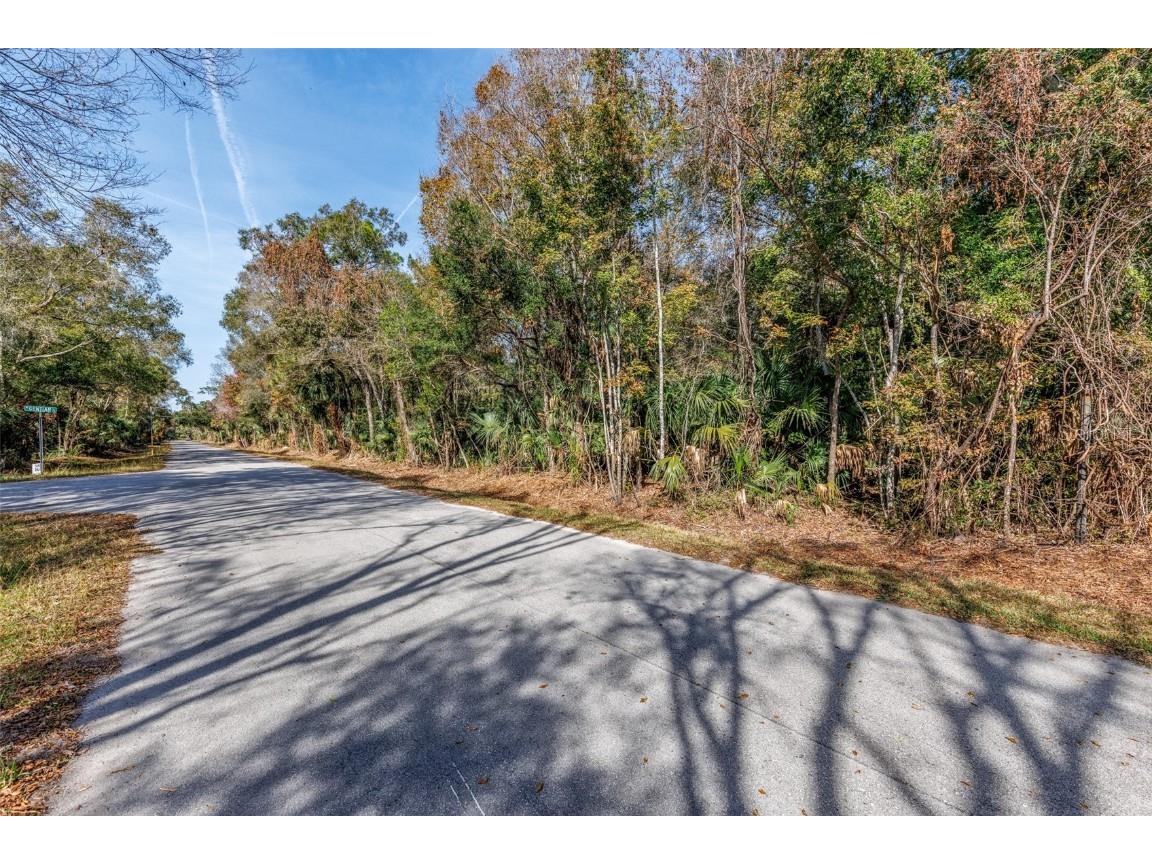 12298 W Marjoram Place Crystal River FL 34428 OM713909 image1