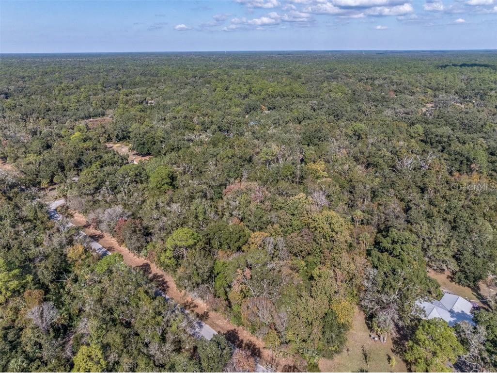 12298 W Marjoram Place Crystal River FL 34428 OM713909 image3