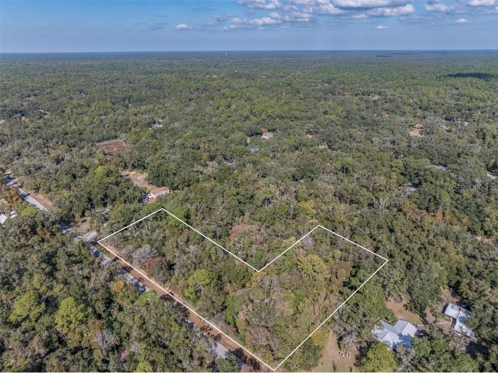 12298 W Marjoram Place Crystal River FL 34428 OM713909 image4