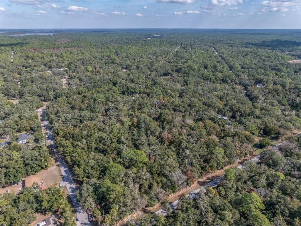 12298 W Marjoram Place Crystal River FL 34428 OM713909 image5