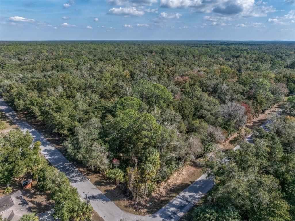 12298 W Marjoram Place Crystal River FL 34428 OM713909 image7