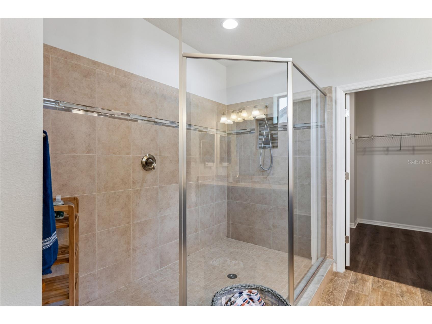 12299 Lake Blanche Drive Odessa FL 33556 W7886400 image22