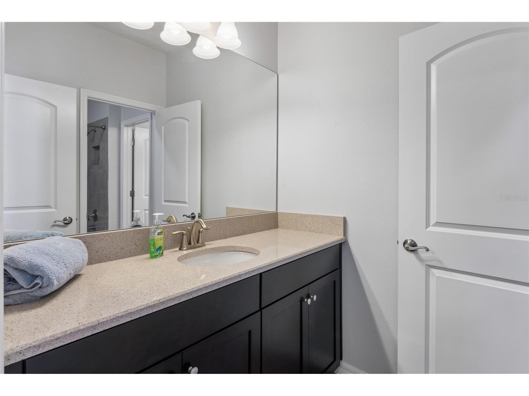 12299 Lake Blanche Drive Odessa FL 33556 W7886400 image25