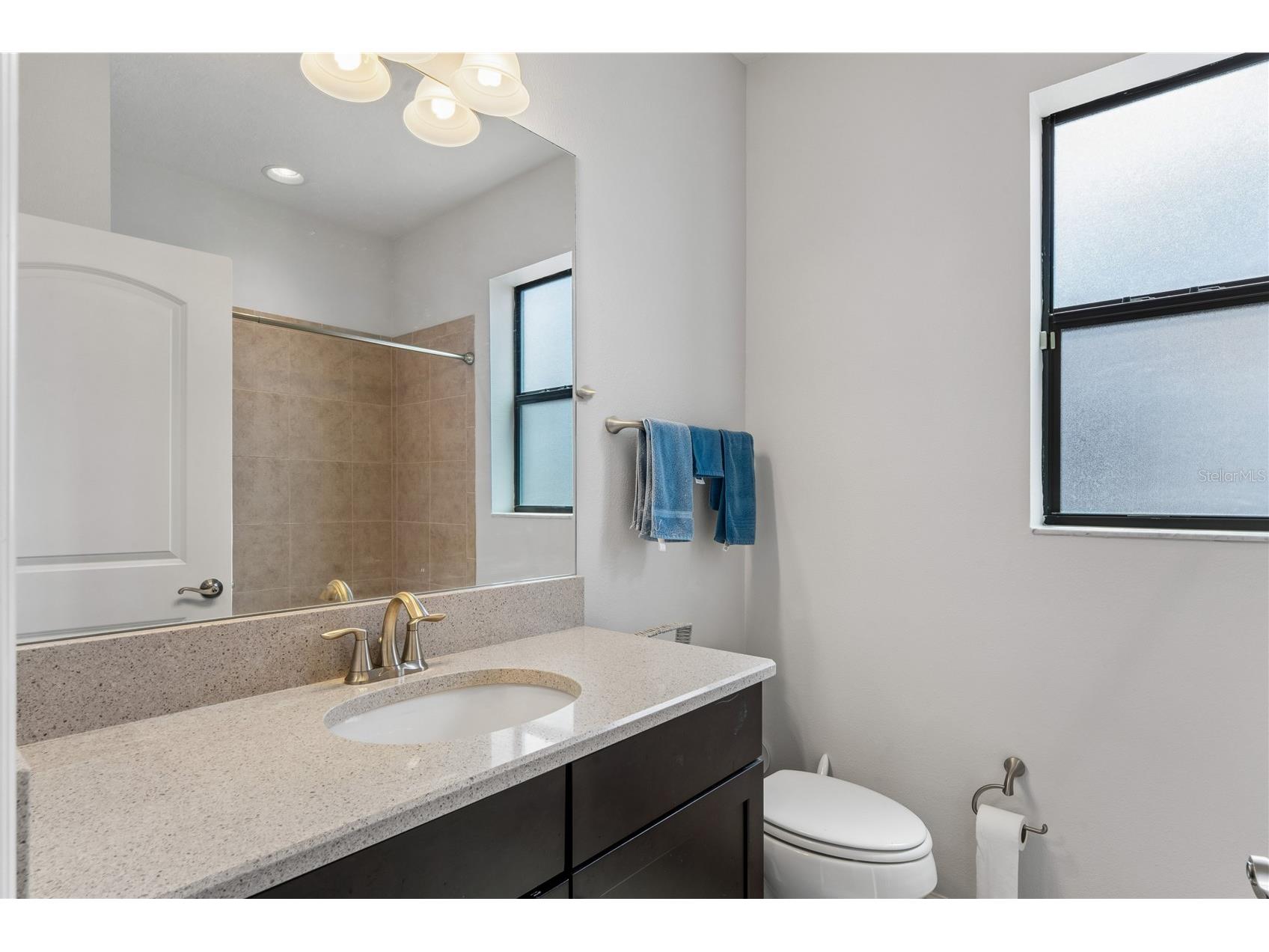 12299 Lake Blanche Drive Odessa FL 33556 W7886400 image30