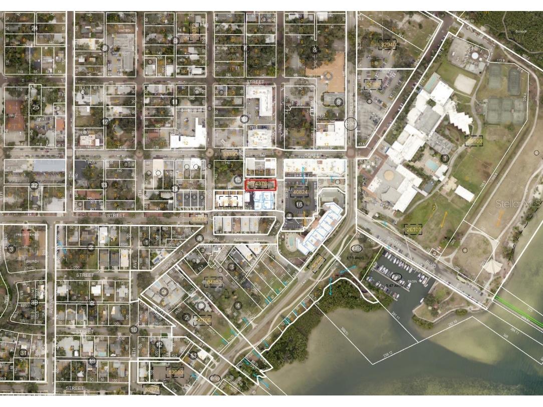 123 2nd Avenue S Safety Harbor FL 34695 TB8410168 image2