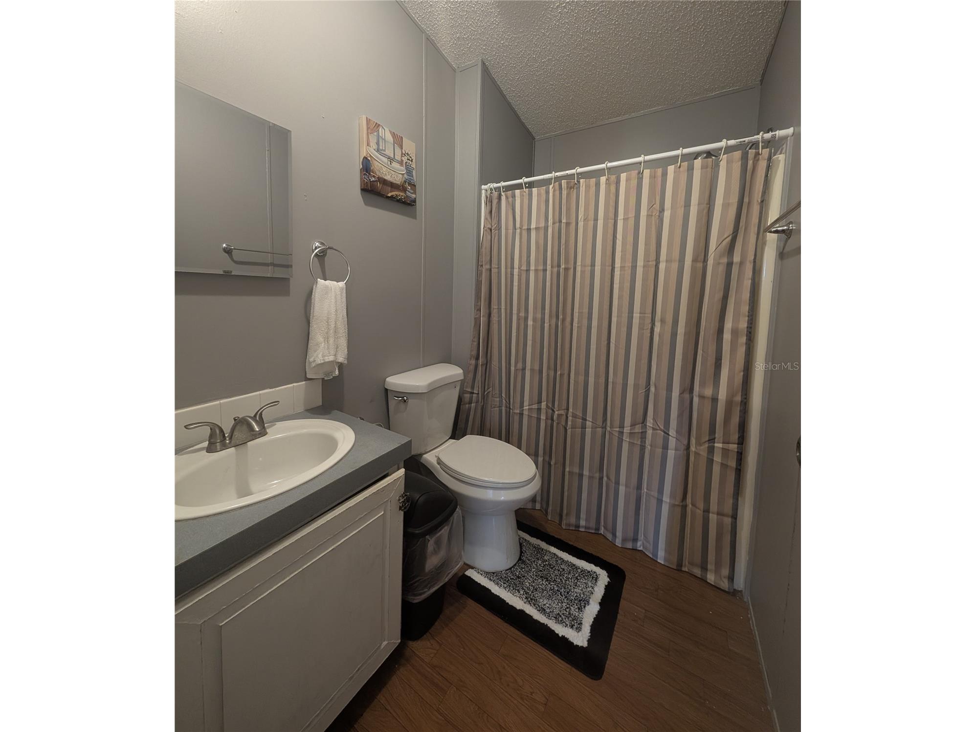 123 Amos Road Crescent City FL 32112 V4950127 image20