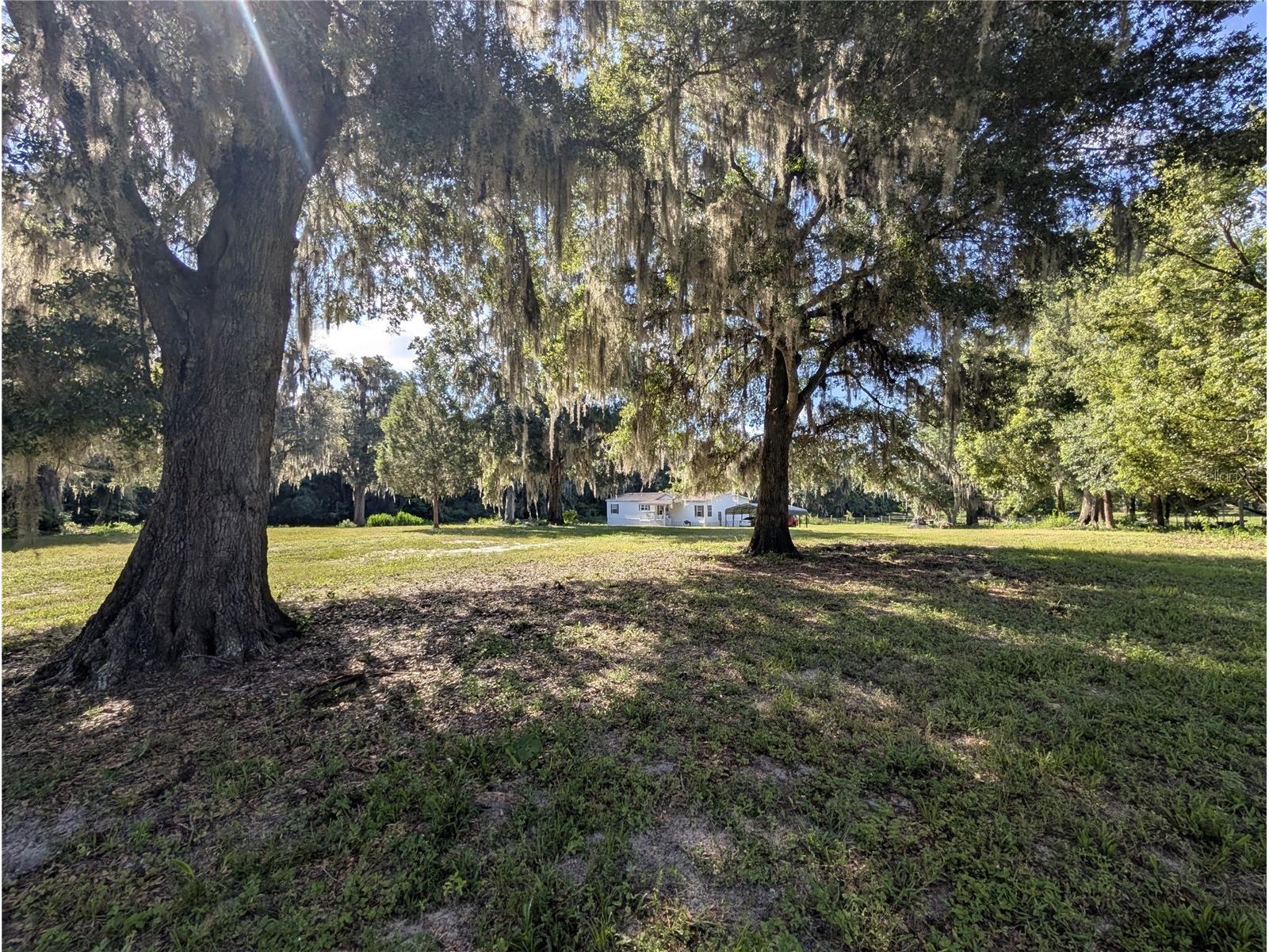 123 Amos Road Crescent City FL 32112 V4950127 image23