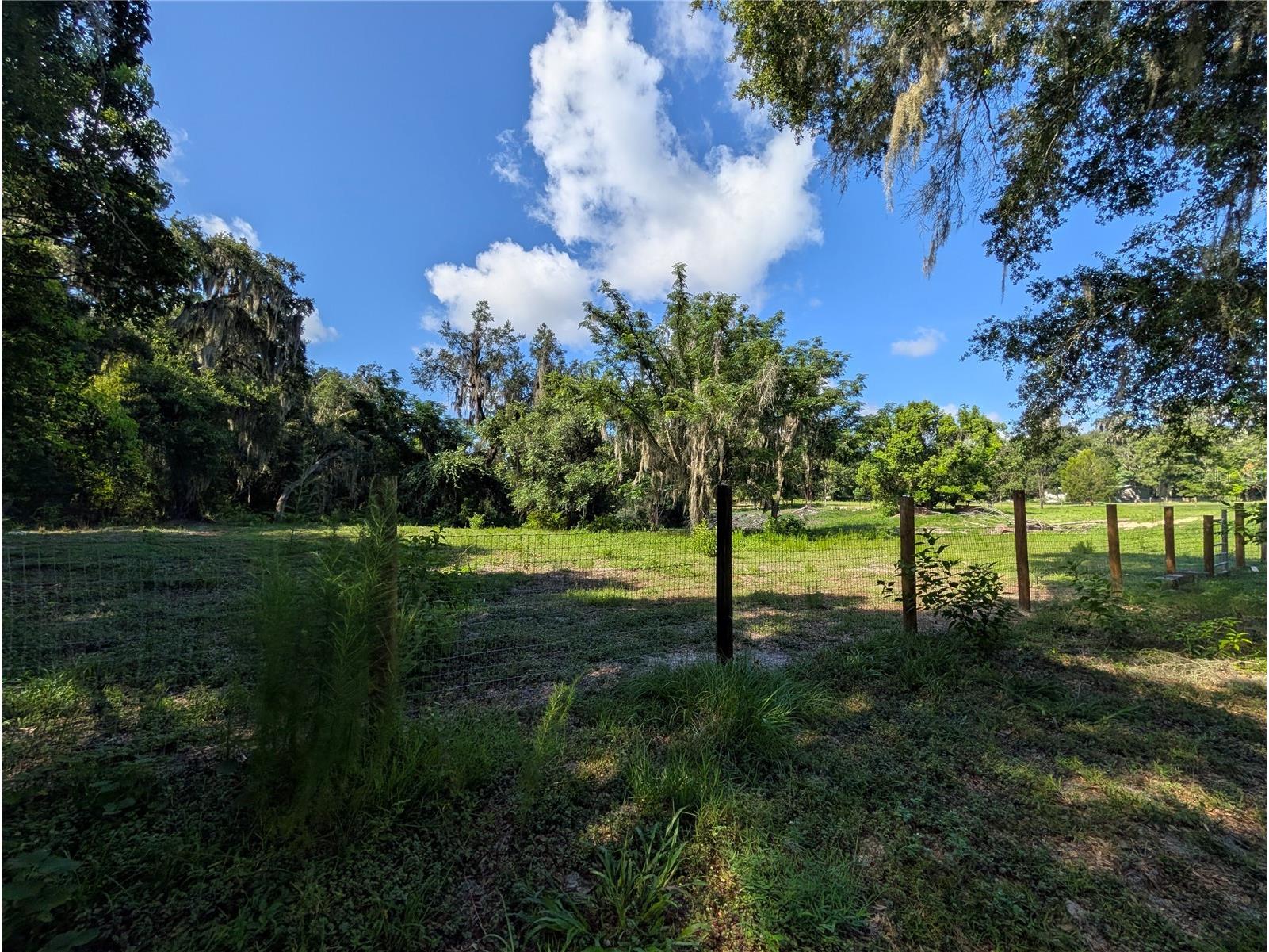 123 Amos Road Crescent City FL 32112 V4950127 image24