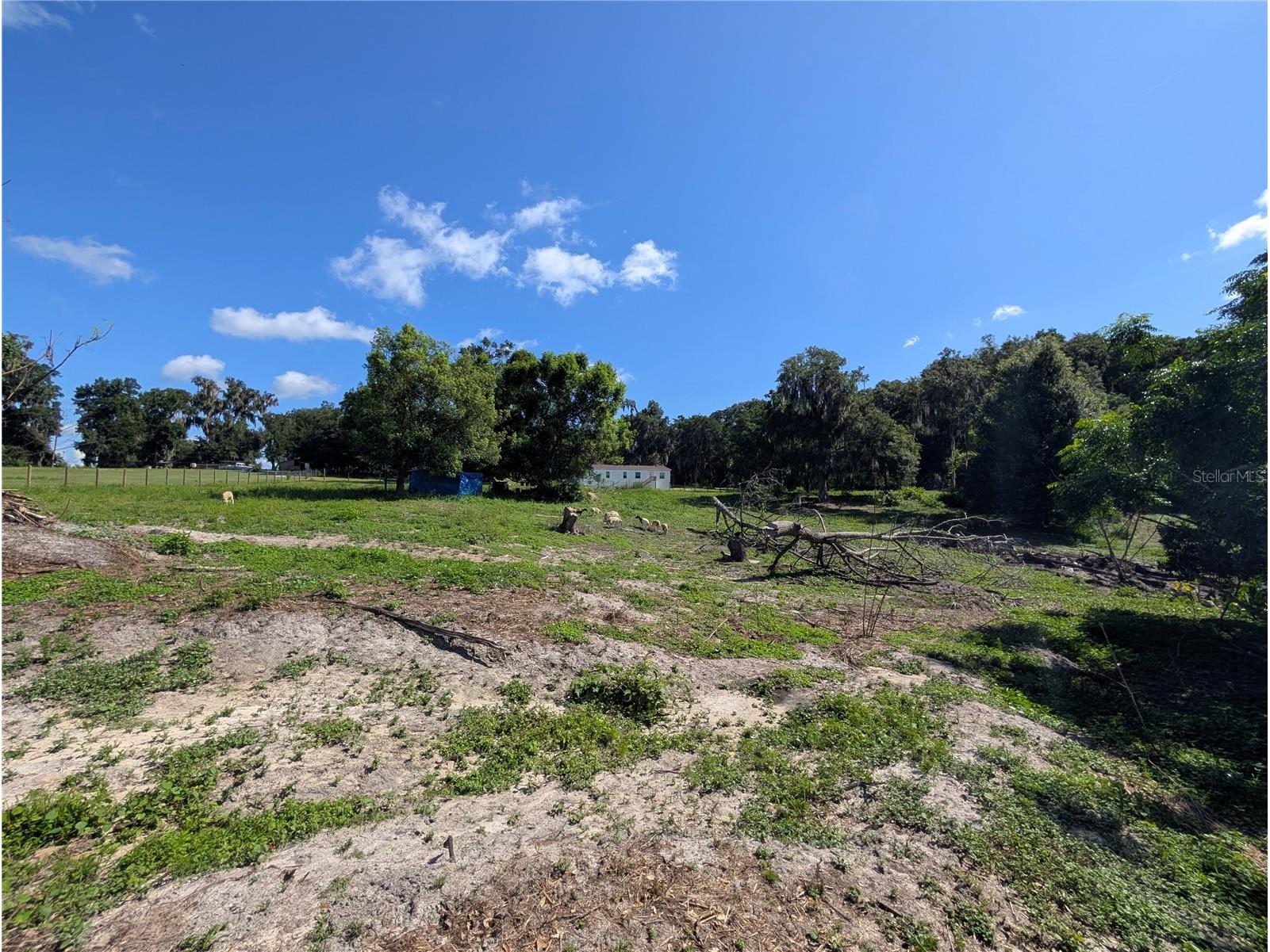 123 Amos Road Crescent City FL 32112 V4950127 image32