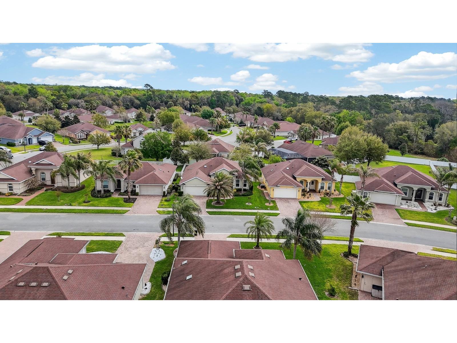 123 Arena Lake Drive Palm Coast FL 32137 FC317113 image32