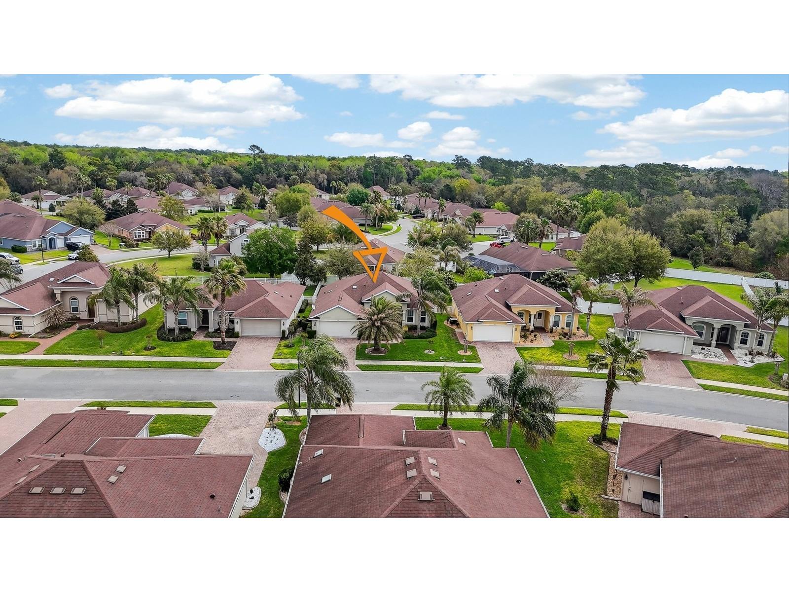 123 Arena Lake Drive Palm Coast FL 32137 FC317113 image33