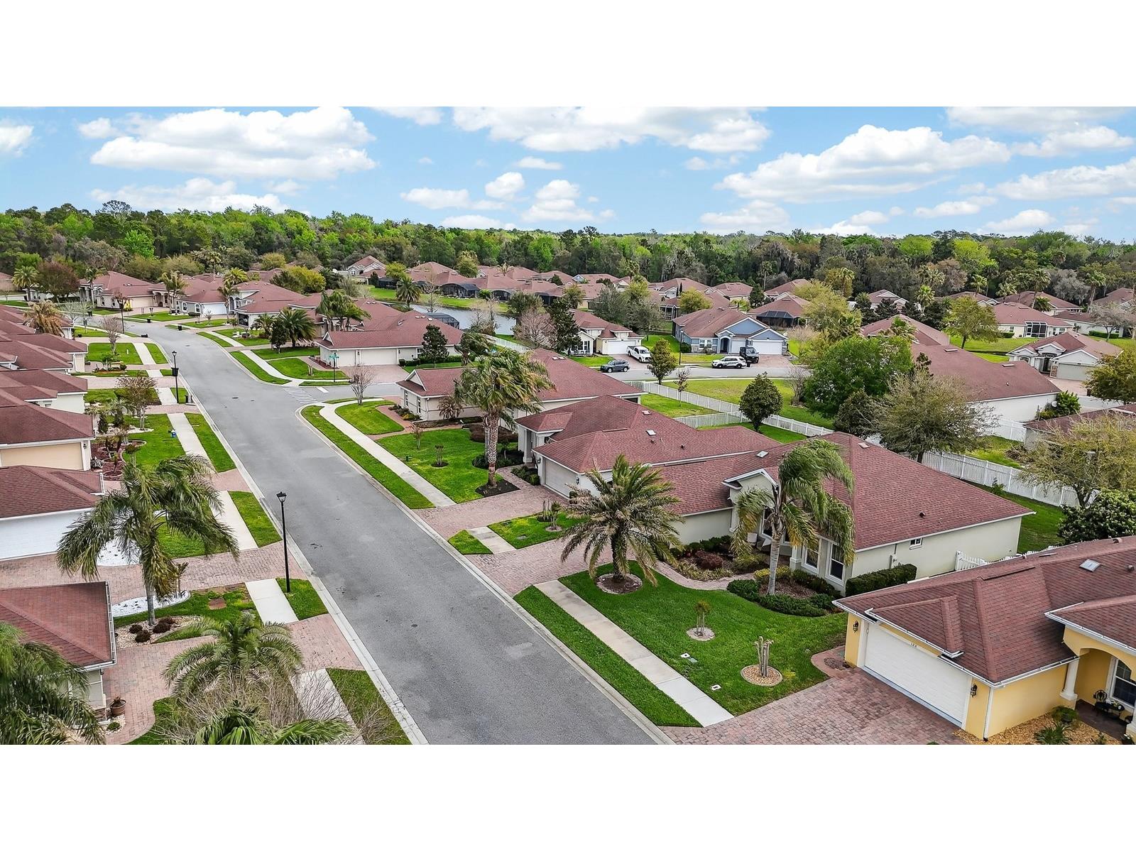 123 Arena Lake Drive Palm Coast FL 32137 FC317113 image34