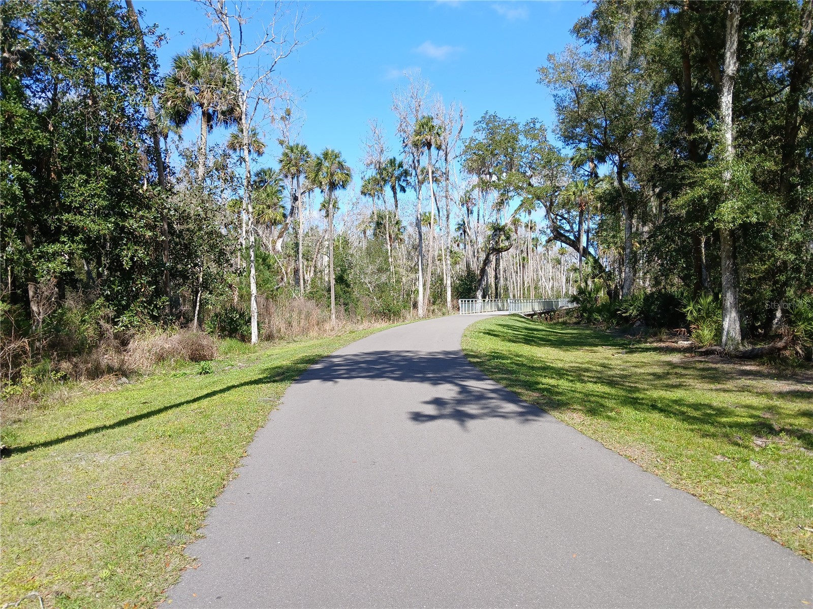 123 Arena Lake Drive Palm Coast FL 32137 FC317113 image45