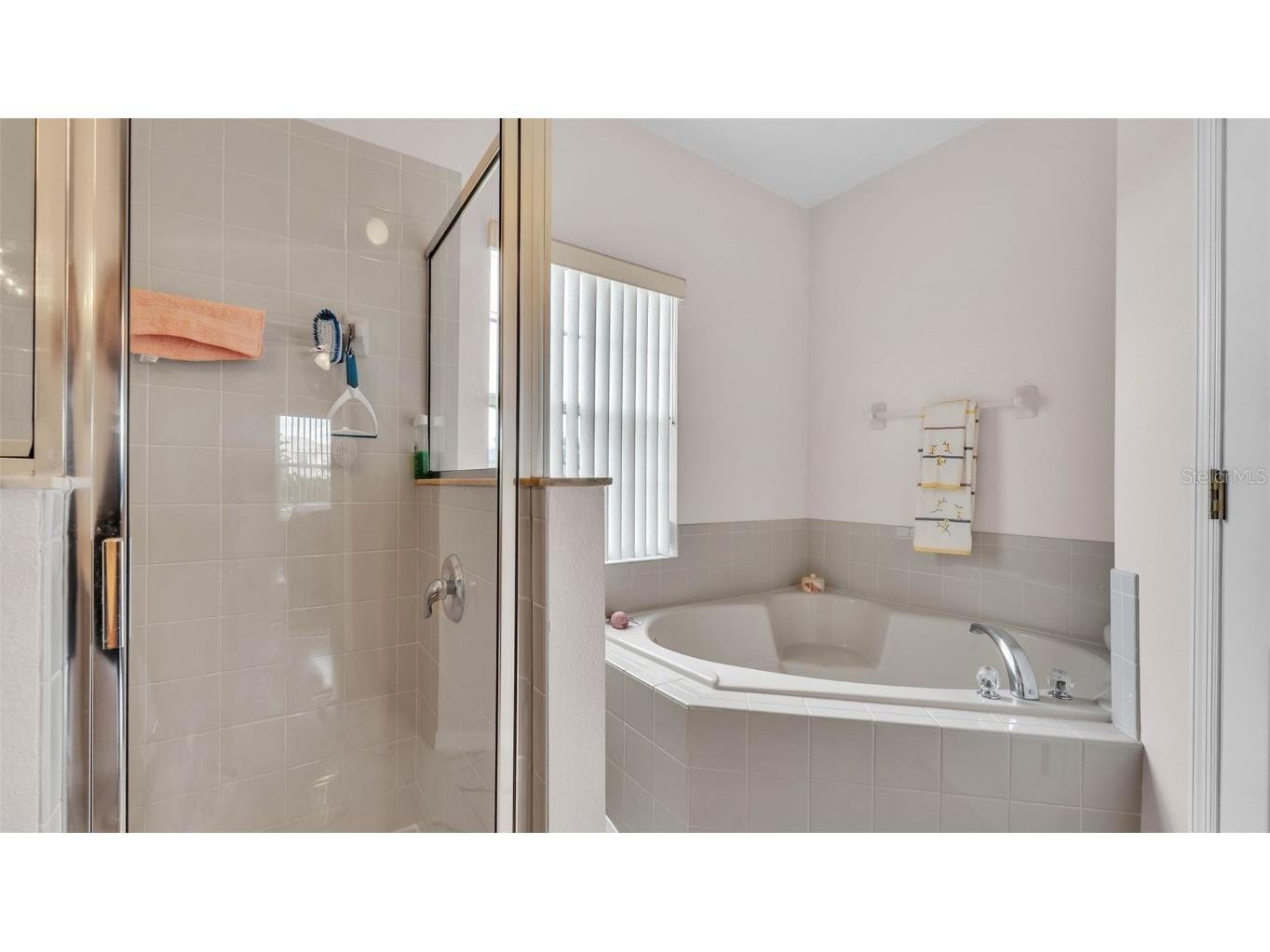 123 Athabasca Drive Kissimmee FL 34759 L4954193 image18