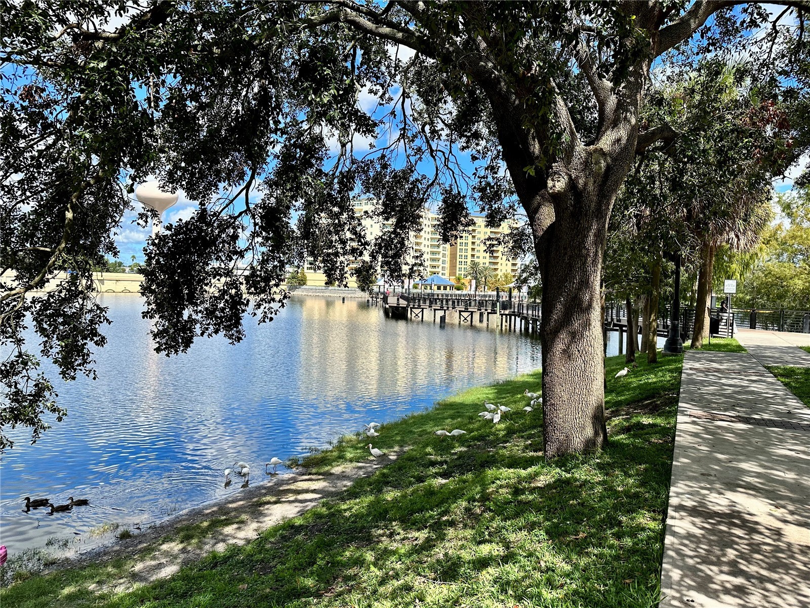123 Blue Point Way #110 Altamonte Springs FL 32701 O6390427 image12