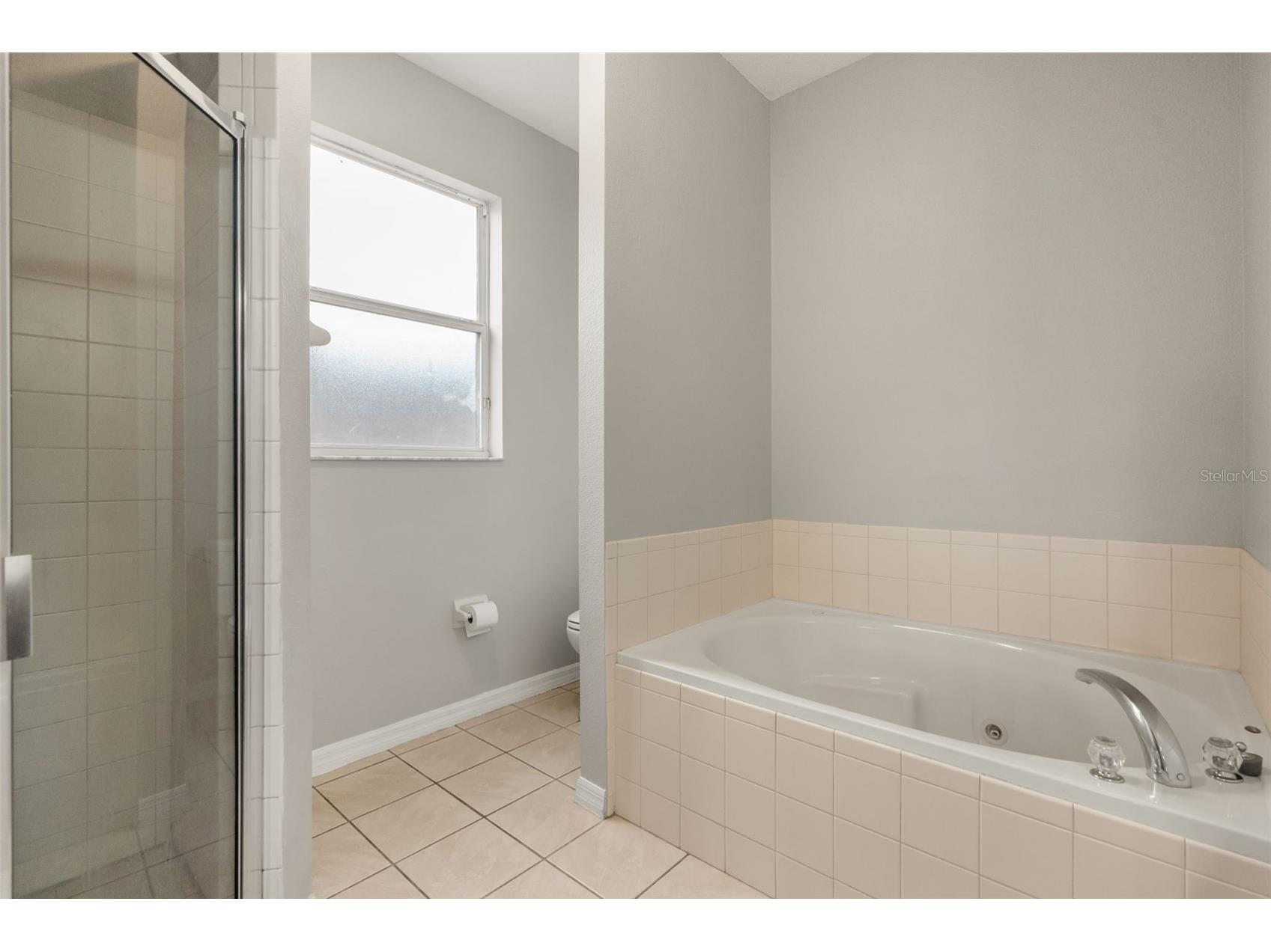 123 Bluff Pass Drive Eustis FL 32726 S5153433 image17