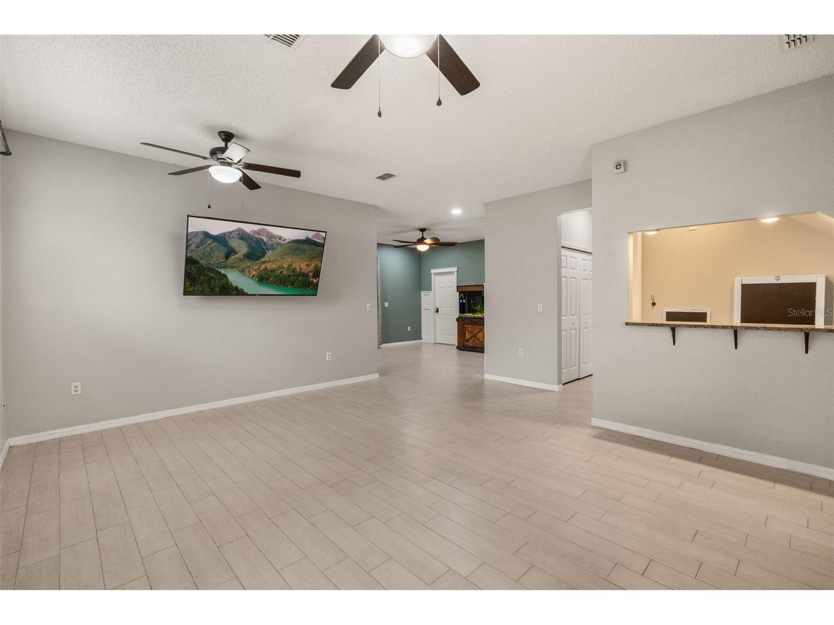 123 Bluff Pass Drive Eustis FL 32726 S5153433 image2