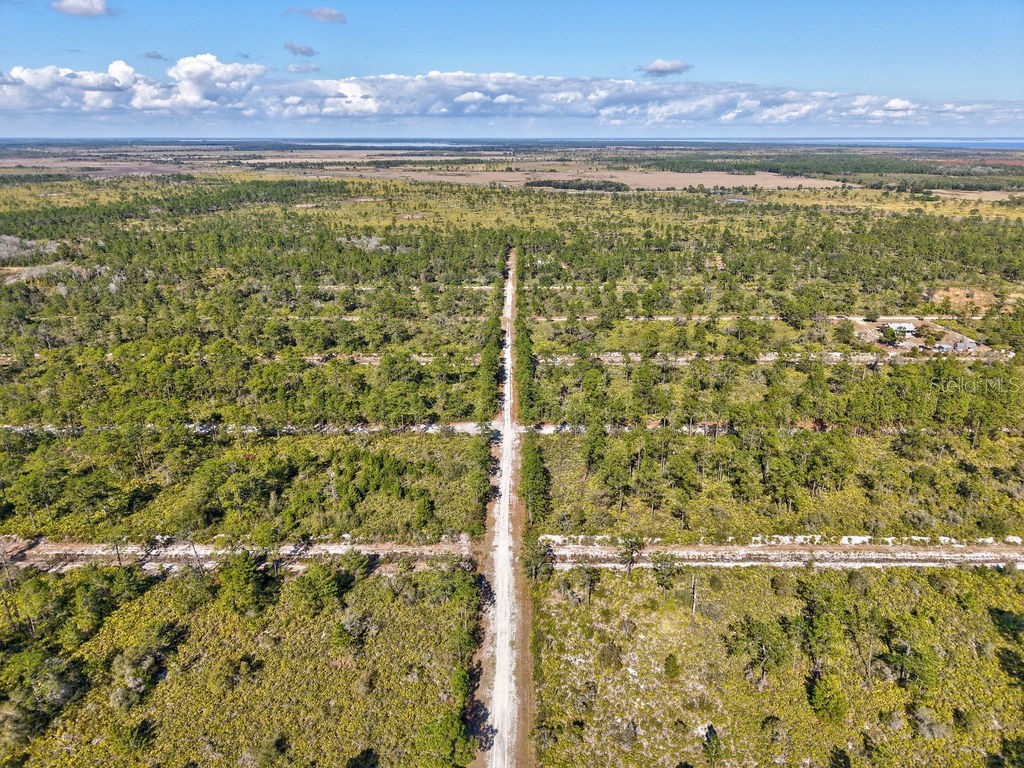 123 Camellia Drive Indian Lake Estates FL 33855 TB8460603 image12