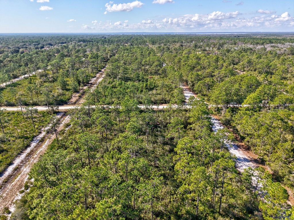 123 Camellia Drive Indian Lake Estates FL 33855 TB8460603 image16