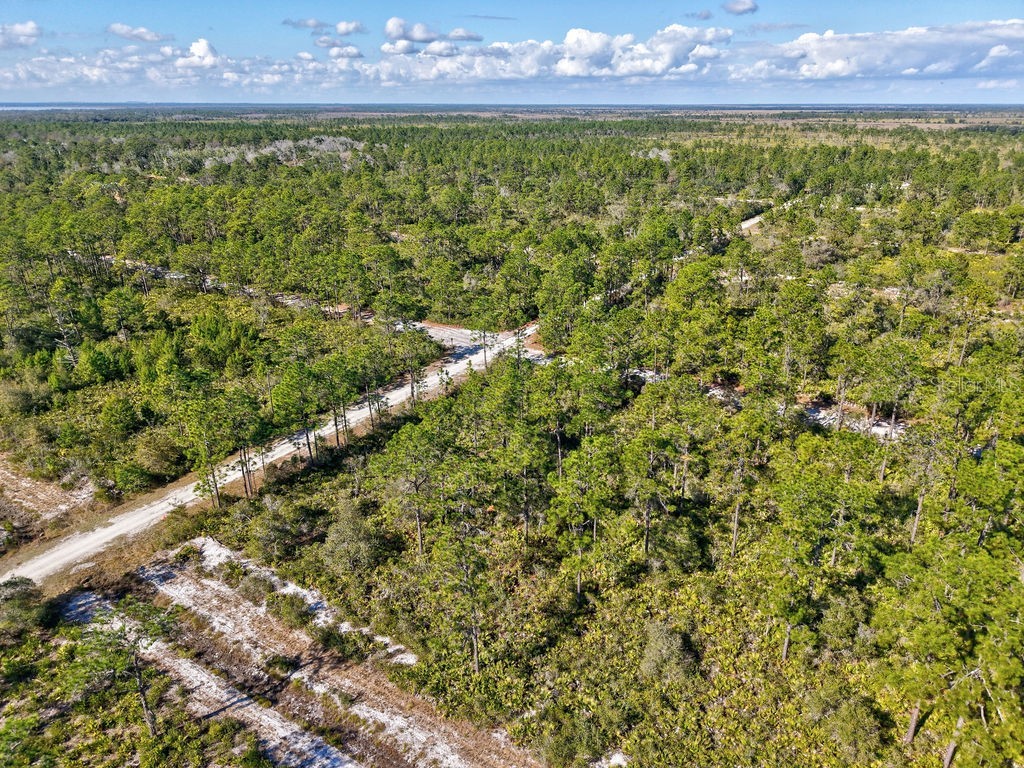 123 Camellia Drive Indian Lake Estates FL 33855 TB8460603 image17