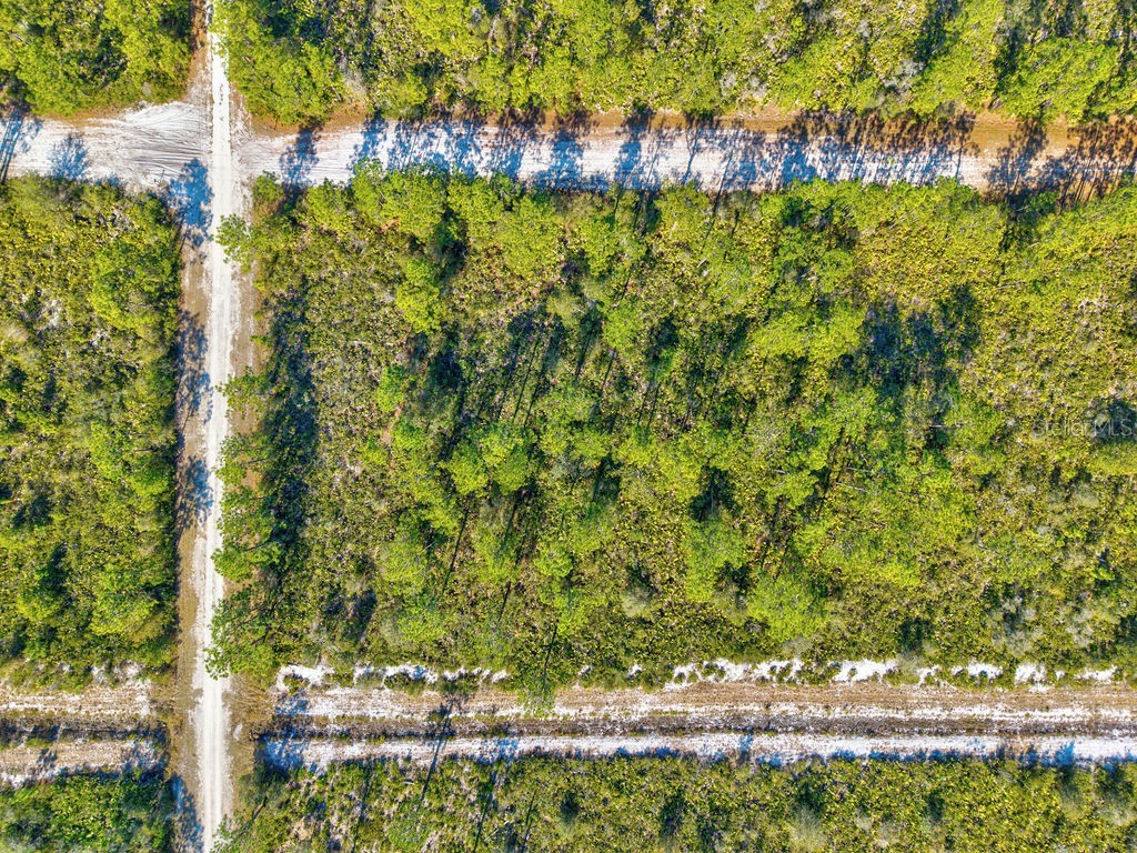 123 Camellia Drive Indian Lake Estates FL 33855 TB8460603 image18