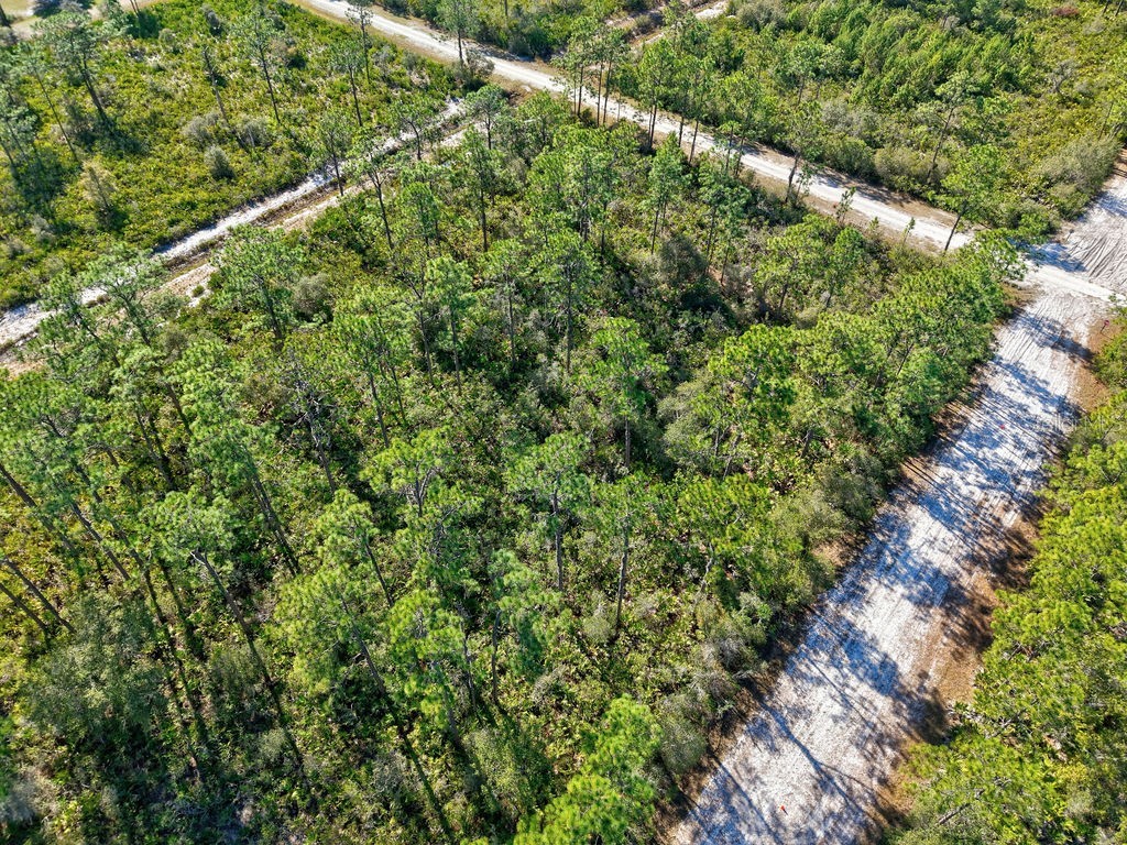 123 Camellia Drive Indian Lake Estates FL 33855 TB8460603 image19