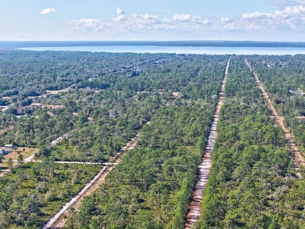 123 Camellia Drive Indian Lake Estates FL 33855 TB8460603 image7