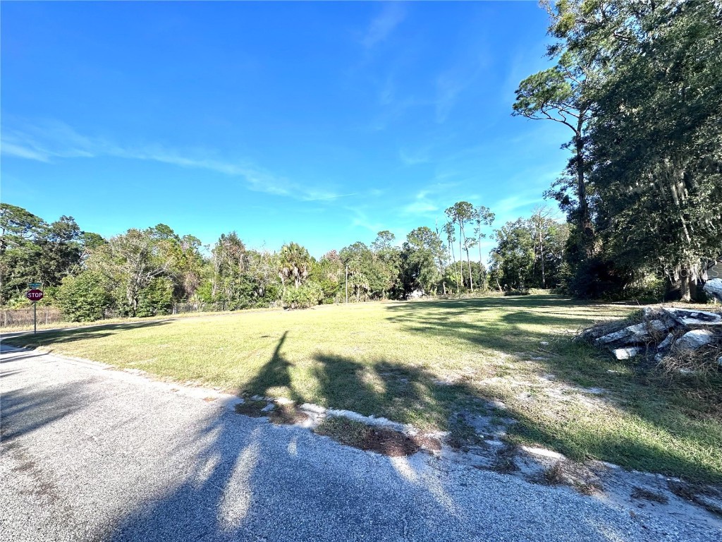 123 Carver Street Palatka FL 32177 OM714023 image8