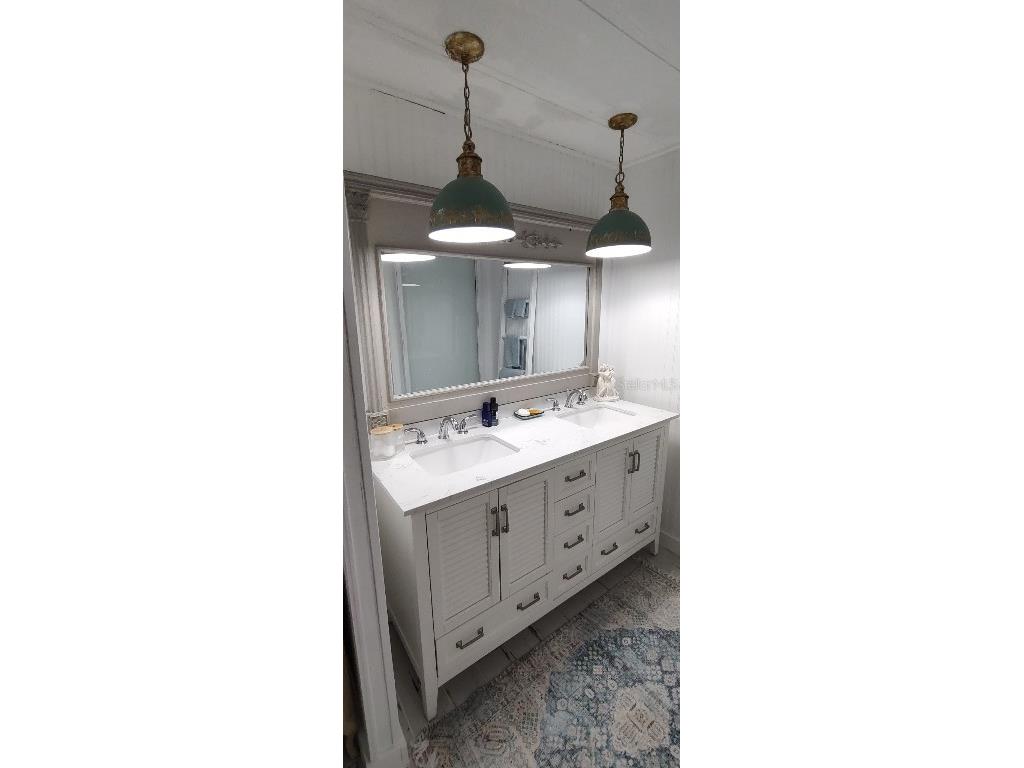 123 Dolphin Drive S Oldsmar FL 34677 TB8447450 image14