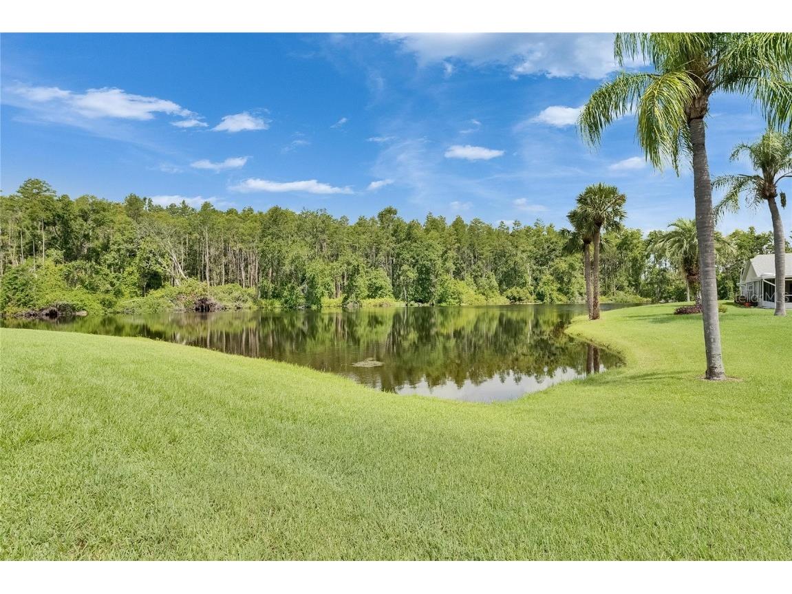 123 Glendower Circle #123 Sun City Center FL 33573 TB8400066 image35