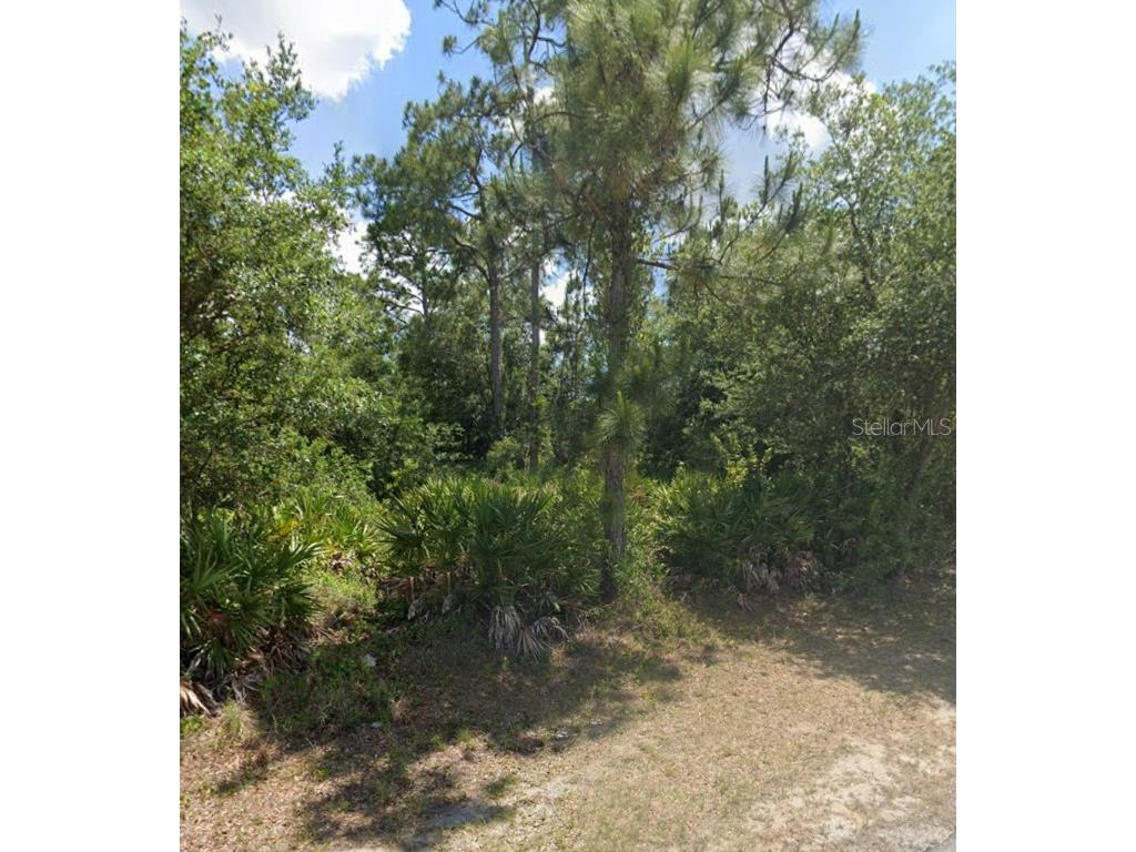 123 Irving Ave Lehigh Acres FL 33936 O6139083 image1