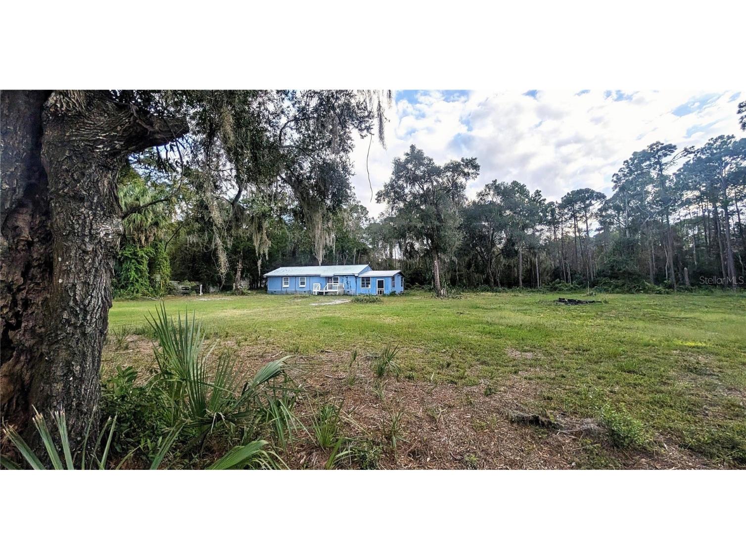 123 Linderwood Drive Georgetown FL 32139 V4945105 image1