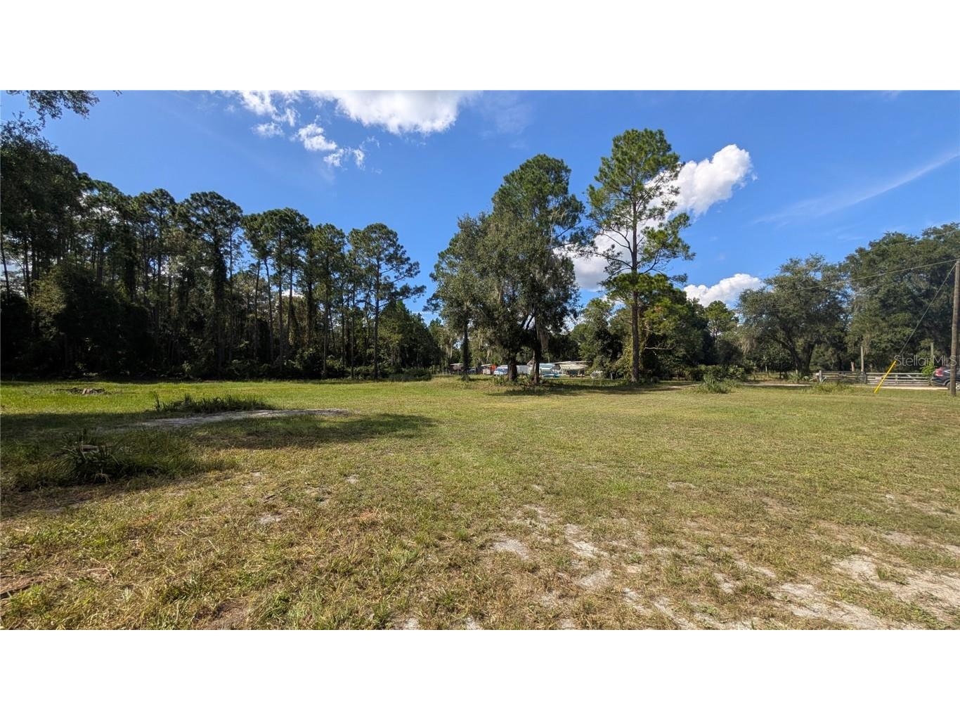 123 Linderwood Drive Georgetown FL 32139 V4945105 image22