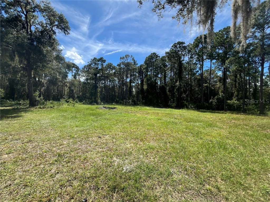 123 Linderwood Drive Georgetown FL 32139 V4945105 image23