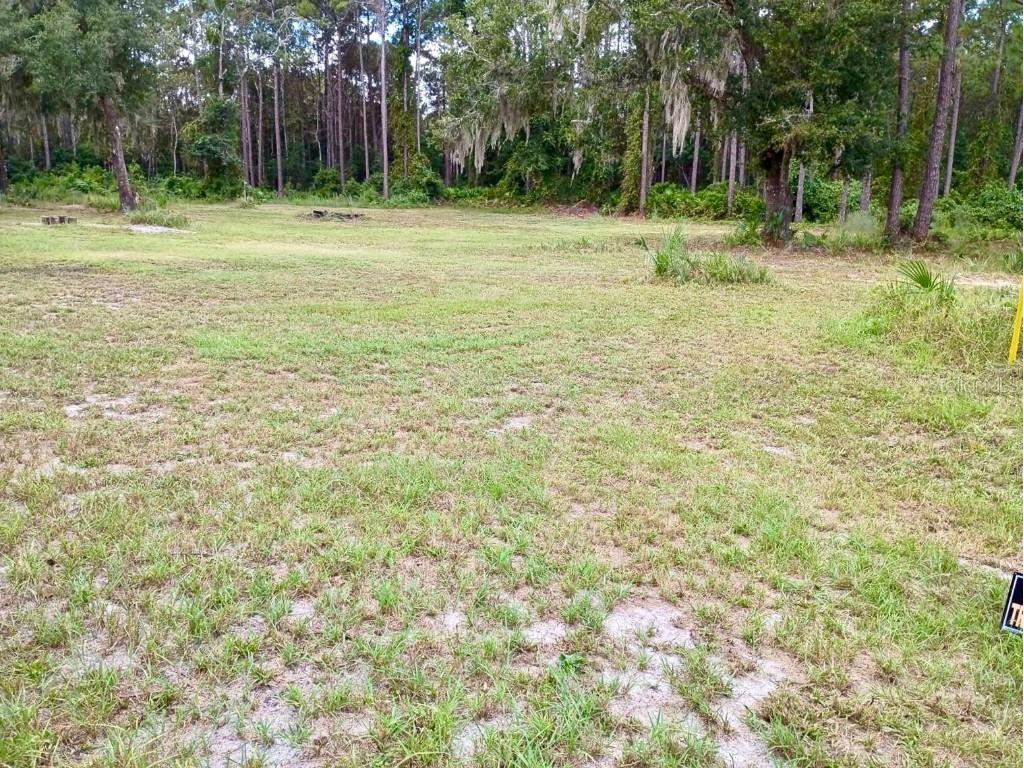 123 Linderwood Drive Georgetown FL 32139 V4945105 image24