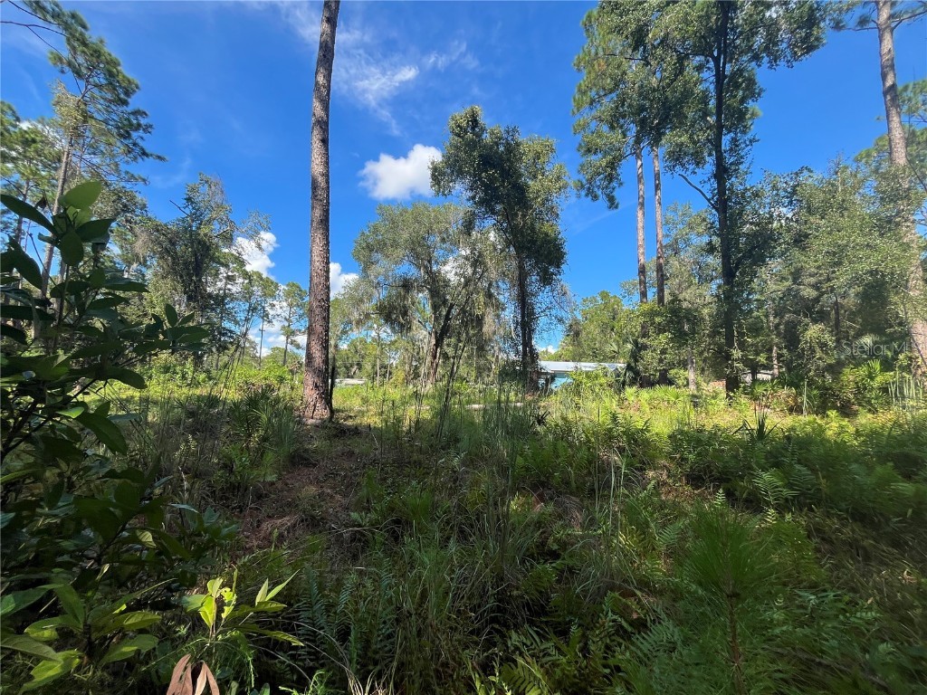 123 Linderwood Drive Georgetown FL 32139 V4945105 image25