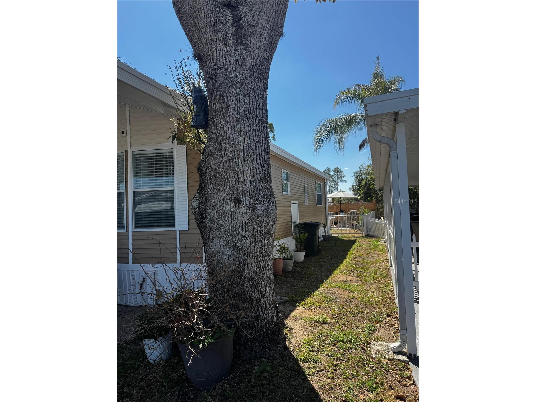 123 Pansy Street Davenport FL 33837 P4938288 image16