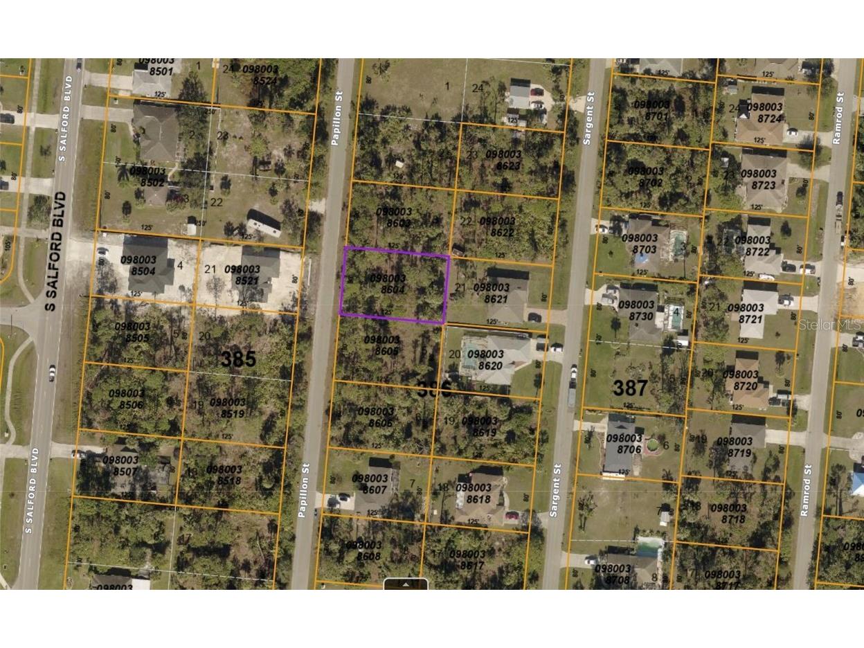 123 Papillon Street North Port FL 34287 O6140757 image1