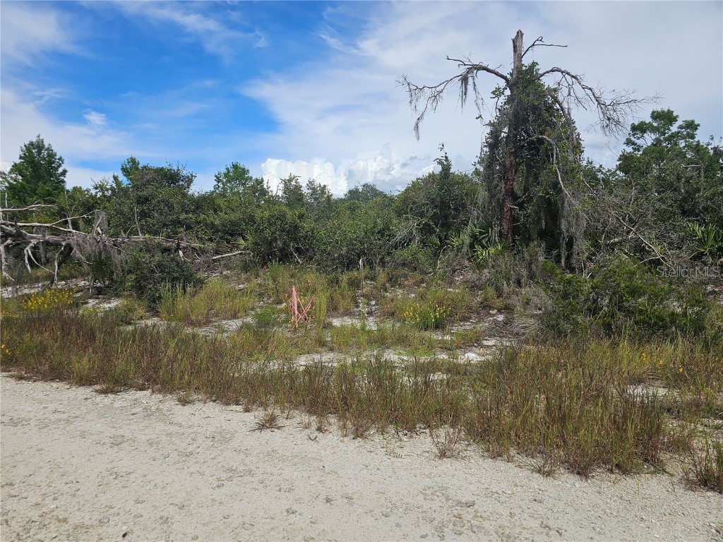 123 Patton Avenue Lake Placid FL 33852 P4936196 image4