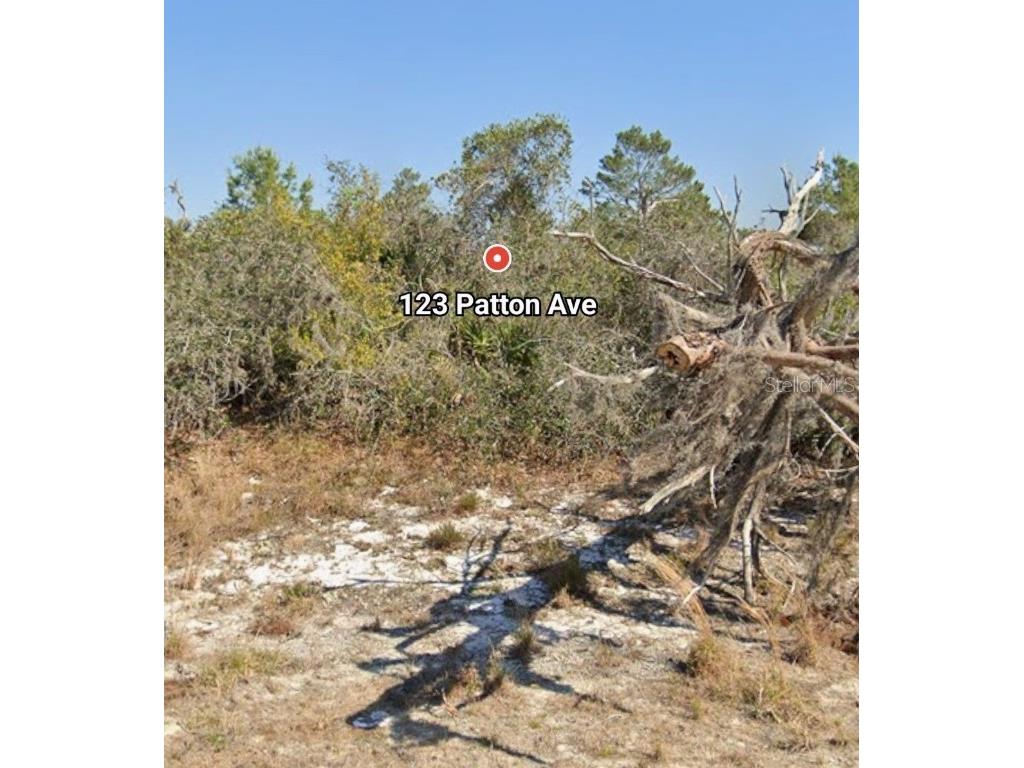 123 Patton Avenue Lake Placid FL 33852 P4936196 image6